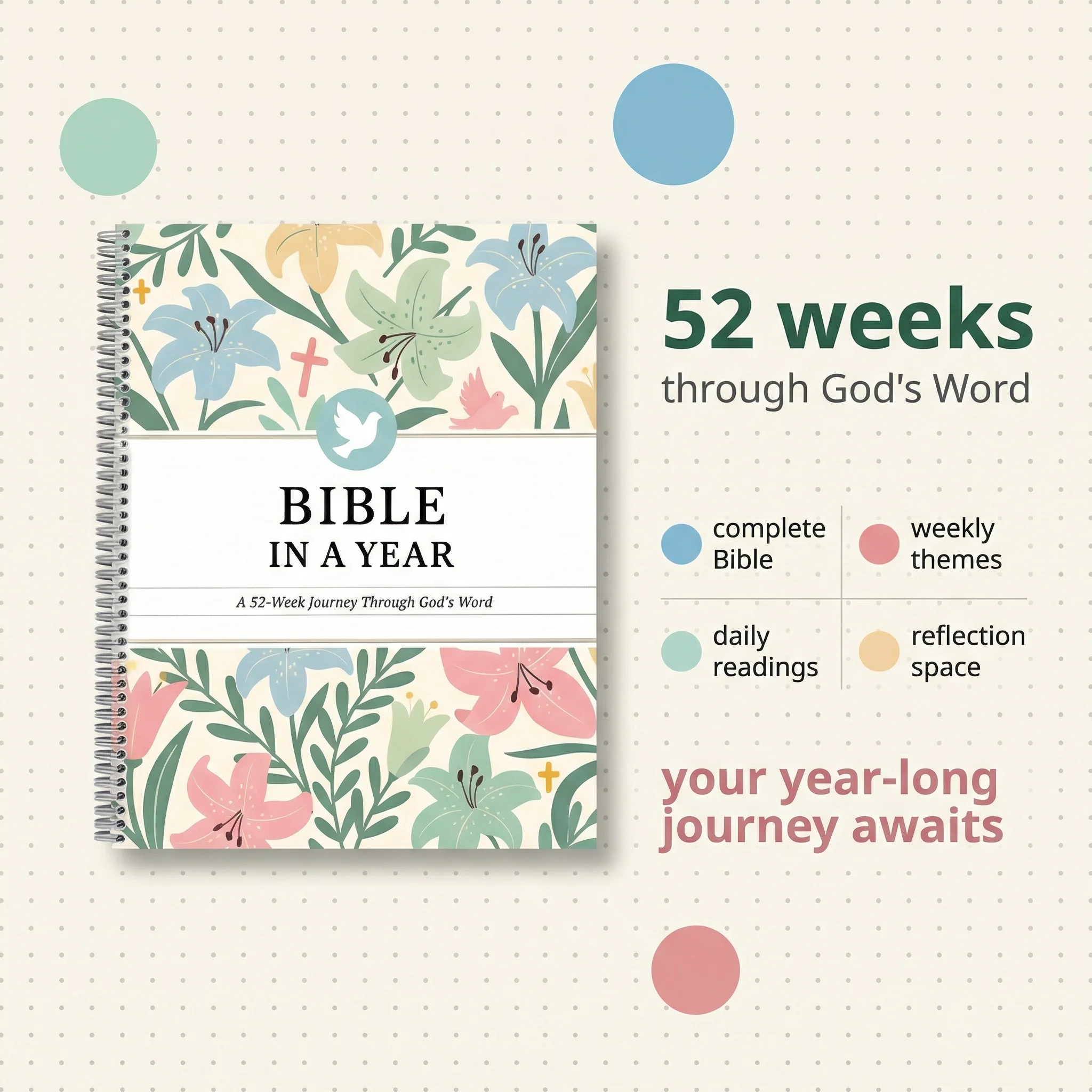 Bible In A Year: 52-Week Study (New Store)